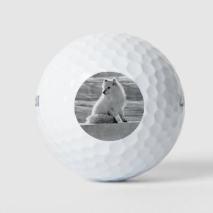 Vintag USA Alaska Arctic fox Golfball