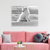 Vintag USA Alaska Arctic fox Leinwanddruck (Insitu (Wohnzimmer))
