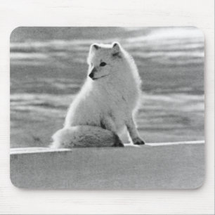 Vintag USA Alaska Arctic fox Mousepad