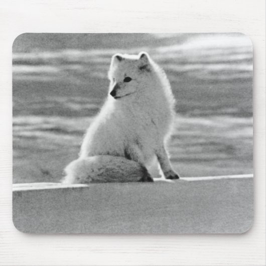 Vintag USA Alaska Arctic fox Mousepad (Vorne)