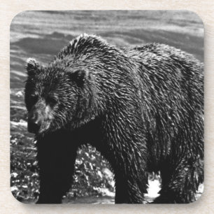 Vintag USA Alaska Braunbär Getränkeuntersetzer