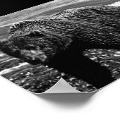 Vintag USA Alaska Braunbär Poster (Ecke)