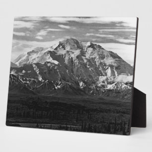 Vintag USA Alaska Mt Mckinley Nationalpark 1970 Fotoplatte