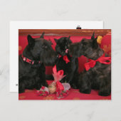 Vintag: Valentinstag - Feiertagspostkarte (Vorne/Hinten)