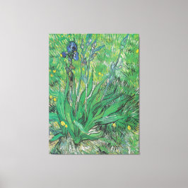 Vintag Van Gogh Iris Leinwanddruck