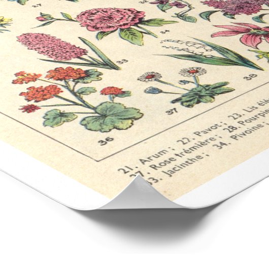 Vintag-violette Blumen Poster (Ecke)