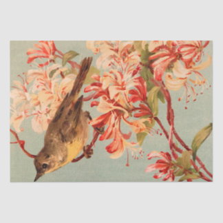 Vintag-Vogelrosa-Blume, alte Abbildung Seidenpapier