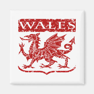 Vintag Wales Magnet