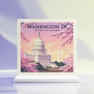 Vintag Washington D.C. Fliese