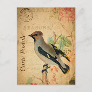 Vintag Waxwing Bird Floral French Carte Postale Postkarte