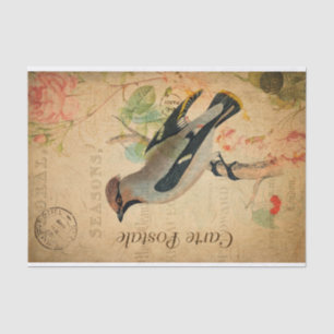 Vintag Waxwing Bird Floral French Carte Postale Seidenpapier