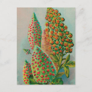 Vintag: Werbung in der Landwirtschaft - Postkarte