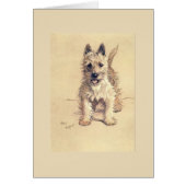 Vintag - Westhochland-weißer Terrier, (Vorne)