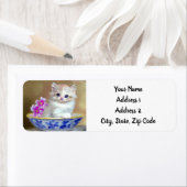 Vintag White Kitten Illustration (Insitu)