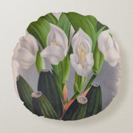 Vintag White Orchid Anguloa Uniflora Lindenia Rundes Kissen