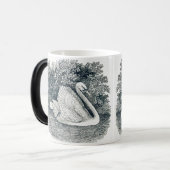 Vintag White Swan von Thomas Bewick Verwandlungstasse (Vorderseite Links)