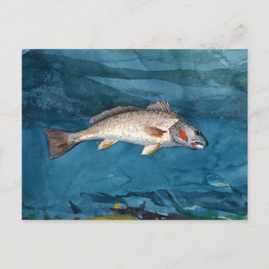 Vintag Winslow Homer Channel Bass Postkarte (Vorderseite)