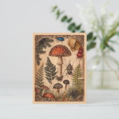 Vintag Woodland Toadstol Ferns Beetles Postkarte (Stehend Vorderseite)