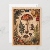 Vintag Woodland Toadstol Ferns Beetles Postkarte (Vorne/Hinten)