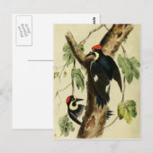 Vintag Woodpecker Bird Postkarte (Vorne/Hinten)