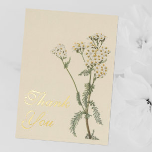 Vintag Yarrow Botanic Watercolor Vielen Dank Folieneinladung