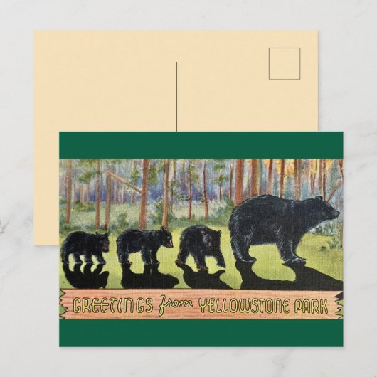 Vintag Yellowstone Park Bears Postkarte (Vorne/Hinten)