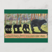 Vintag Yellowstone Park Bears Postkarte (Vorderseite)