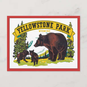 Vintag Yellowstone Park Wyoming USA Postkarte