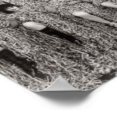 Vintag - Young und Crazy, Poster (Ecke)