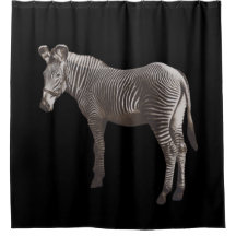 Vintag Zebra