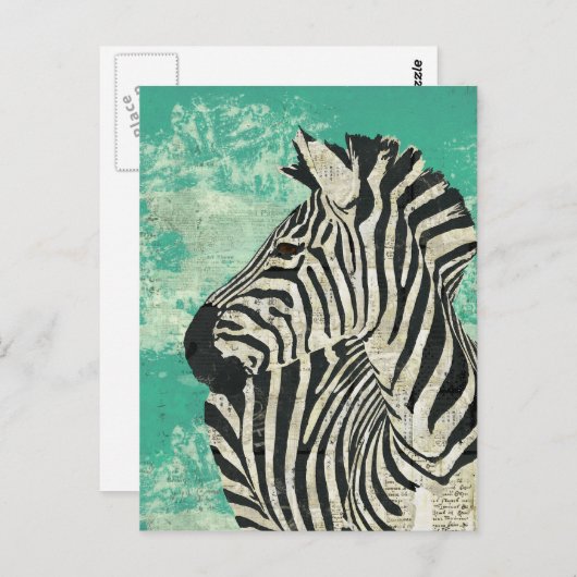 Vintag Zebra Turquoise Postkarte (Vorne/Hinten)
