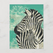 Vintag Zebra Turquoise Postkarte (Vorderseite)
