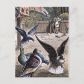 Vintag Zeichnend: Carrier Pidgeons Postkarte (Vorderseite)