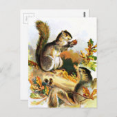 Vintag Zeichnend Eichhörnchen im Herbst Postkarte (Vorne/Hinten)