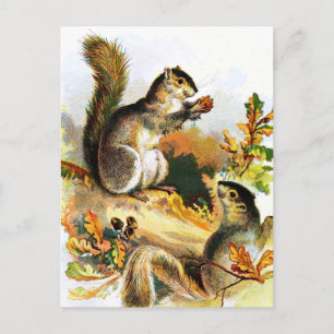Vintag Zeichnend: Eichhörnchen im Herbst Postkarte