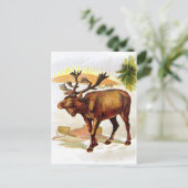 Vintag Zeichnend: Rentier im Schnee Postkarte (Stehend Vorderseite)