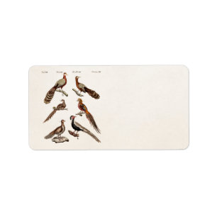 Vintage 1700s Fasan-Spiel-Vögel - Fasan-Vogel Adressaufkleber