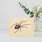 Vintage 1800er-Black Red Spider Template Spiders Postkarte (Stehend Vorderseite)