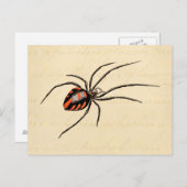 Vintage 1800er-Black Red Spider Template Spiders Postkarte (Vorne/Hinten)