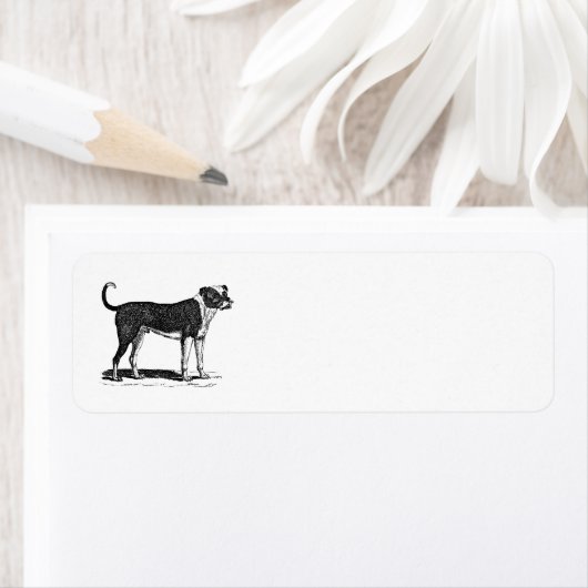 Vintage 1800er Bulldog-Hundelabbildung - Hunde (Insitu)