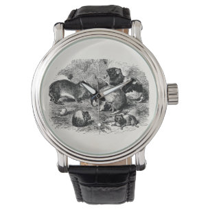 Vintage 1800er Guinea Schweine Retro Alte Guinea S Armbanduhr