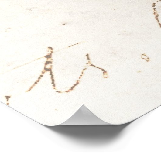 Vintage 1800er Hawaiianische Pferdedarstellung Poster (Ecke)