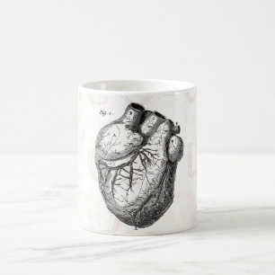 Vintage 1800er Herz Retro Herz Anatomie Herzen Kaffeetasse