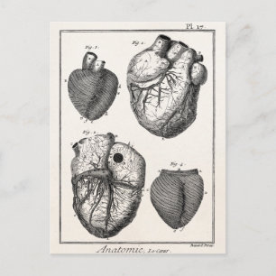 Vintage 1800er Herz Retro Herz Anatomie Herzen Postkarte