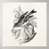 Vintage 1800er Jahre Alte Mönchsbrauerei Poster (Vorne)