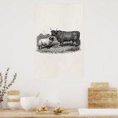 Vintage 1800er Jahre Bull Sheep Illustration Retro Poster (Küche)