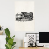 Vintage 1800er Jahre Bull Sheep Illustration Retro Poster (Heimbüro)