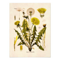 Vintage 1800er Jahre Gelber Kronleuchter Gone to S