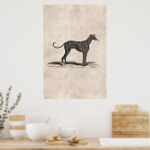 Vintage 1800er-Jahre-Hunde-Hunde-Illustration - Hu Poster (Küche)