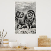Vintage 1800er Lion Lionesse Big Cat Illustration Poster (Küche)